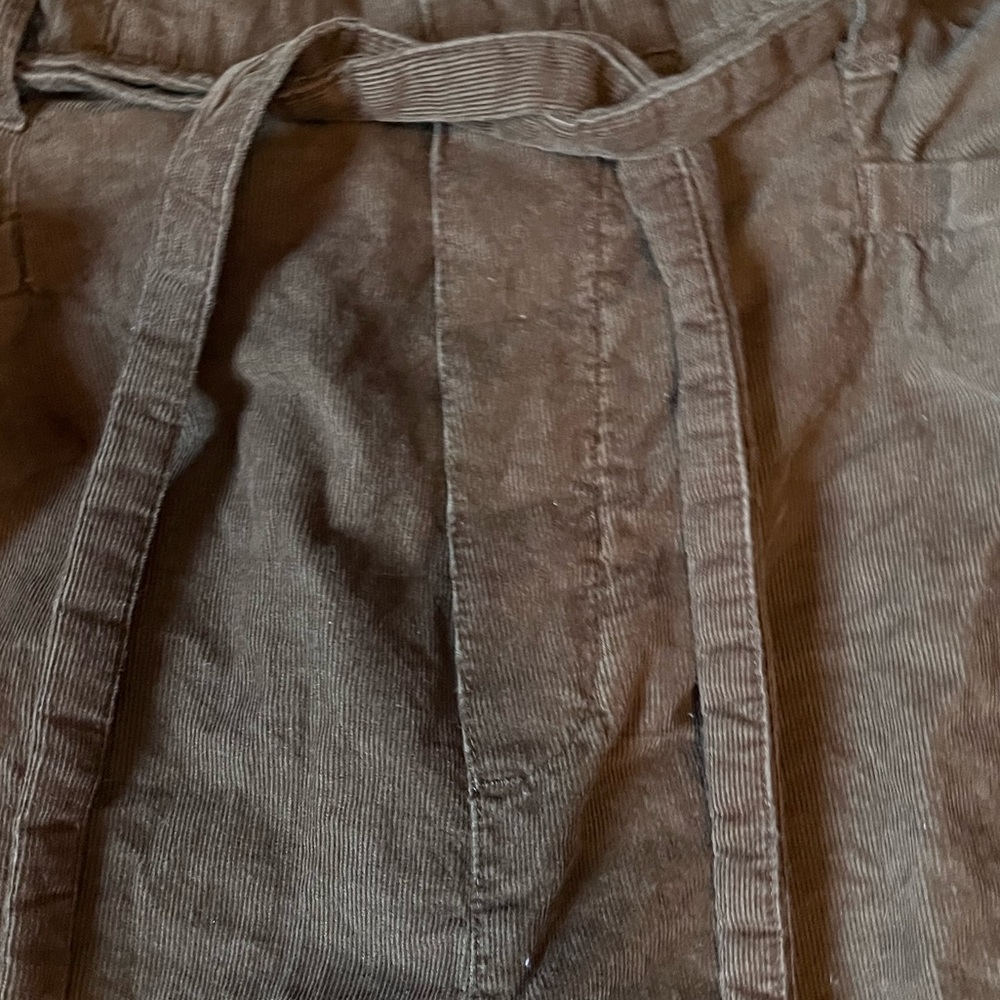 Oversized American Eagle Pants - Picture 3 of 5